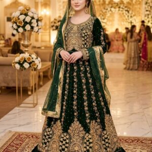 Bride Dress Hand Work Velvet